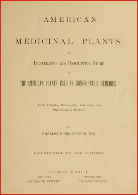 ebook cover